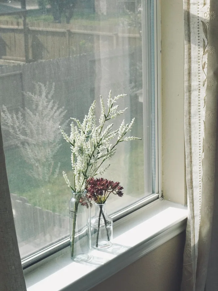 Small flowers on a sunlit windowsill at UPREST